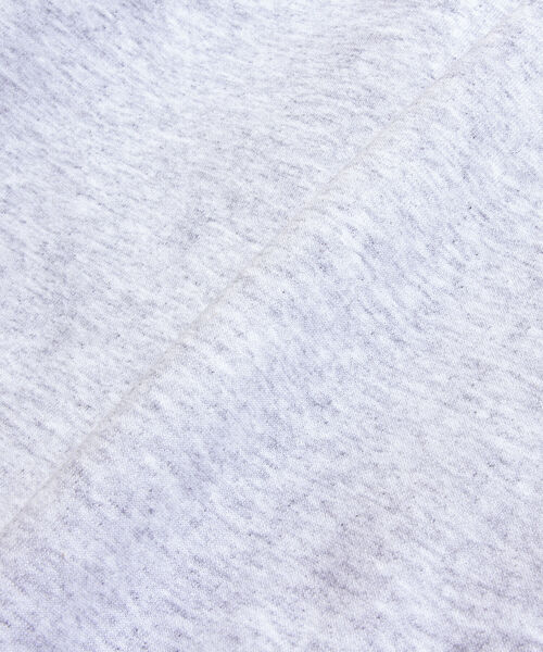 GLOSTER(グロスター)の「【GLOSTER/グロスター】ジュラシック クルーネックスウェット 裏起毛 プルオーバー プリント(スウェット・メンズ・ベージュ/グレー/オフホワイト・M/L)」の13枚目の写真