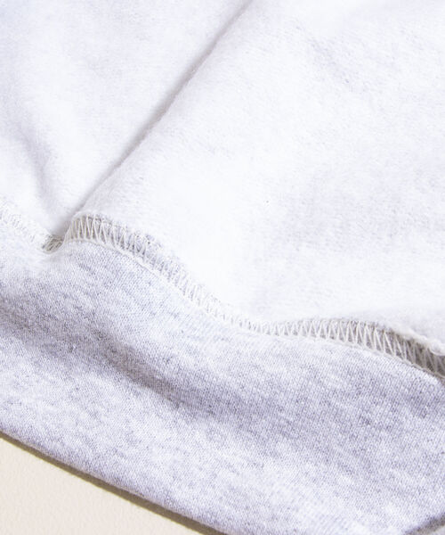 GLOSTER(グロスター)の「【GLOSTER/グロスター】ジュラシック クルーネックスウェット 裏起毛 プルオーバー プリント(スウェット・メンズ・ベージュ/グレー/オフホワイト・M/L)」の14枚目の写真