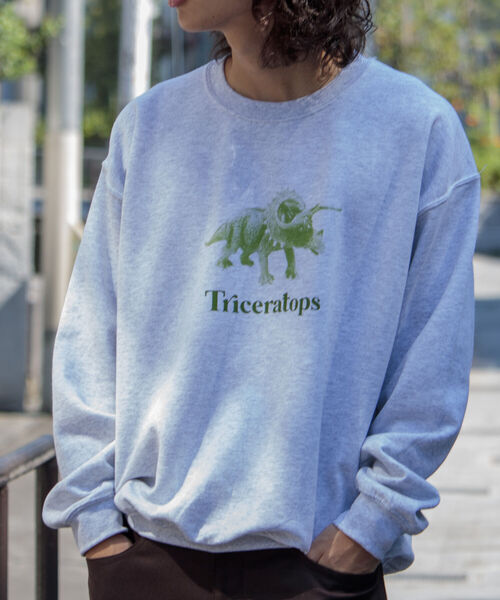 GLOSTER(グロスター)の「【GLOSTER/グロスター】ジュラシック クルーネックスウェット 裏起毛 プルオーバー プリント(スウェット・メンズ・ベージュ/グレー/オフホワイト・M/L)」の15枚目の写真