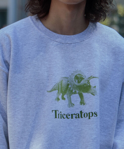 GLOSTER(グロスター)の「【GLOSTER/グロスター】ジュラシック クルーネックスウェット 裏起毛 プルオーバー プリント(スウェット・メンズ・ベージュ/グレー/オフホワイト・M/L)」の16枚目の写真