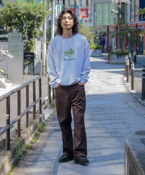 GLOSTER(グロスター)の「【GLOSTER/グロスター】ジュラシック クルーネックスウェット 裏起毛 プルオーバー プリント(スウェット・メンズ・ベージュ/グレー/オフホワイト・M/L)」の19枚目の写真