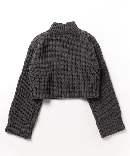 SLY（スライ）の「MOLE YARN CROP TOPS モールヤン クロップ トップス（ニット/セーター・レディース・ブラック/アイボリー/ダークグレー/クリアレッド・FREE）」の21枚目の写真