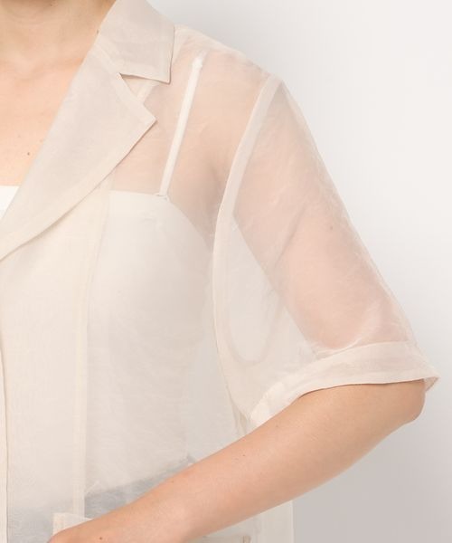 LOWRYS FARM（ローリーズファーム）の「シアーシャツジャケットＳＳ　 133172（シャツ/ブラウス・レディース・アイボリー/ブラウン/ブルー・FREE）」の21枚目の写真