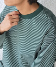 SHIPS any | SHIPS any: デザインリブ ハイゲージ ポンチ マイクロ ボーダー Tシャツ (ロンT)◇(Tシャツ/カットソー)