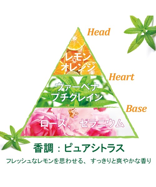 L'OCCITANE(ロクシタン)の「ヴァーベナ オードトワレ 100mL(香水・レディース・その他・FREE)」の4枚目の写真