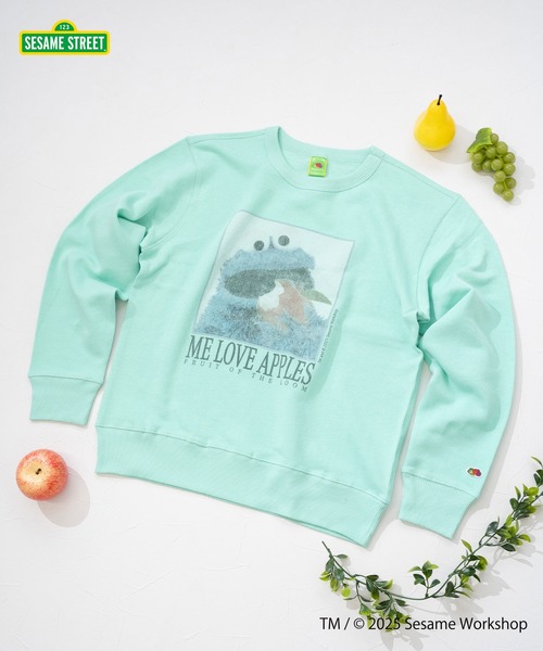 FRUIT OF THE LOOM(フルーツオブザルーム)の「SESAME STREET×FTL ロングスリーブ甘編 / セサミ / プルオーバー(スウェット・メンズ・ミント/パープル・S/L/M)」の2枚目の写真