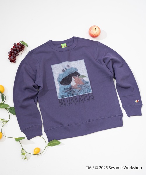 FRUIT OF THE LOOM(フルーツオブザルーム)の「SESAME STREET×FTL ロングスリーブ甘編 / セサミ / プルオーバー(スウェット・メンズ・ミント/パープル・S/L/M)」の7枚目の写真