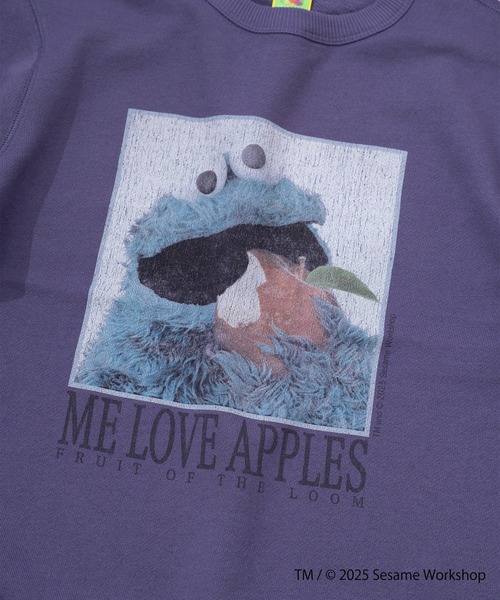 FRUIT OF THE LOOM(フルーツオブザルーム)の「SESAME STREET×FTL ロングスリーブ甘編 / セサミ / プルオーバー(スウェット・メンズ・ミント/パープル・S/L/M)」の9枚目の写真