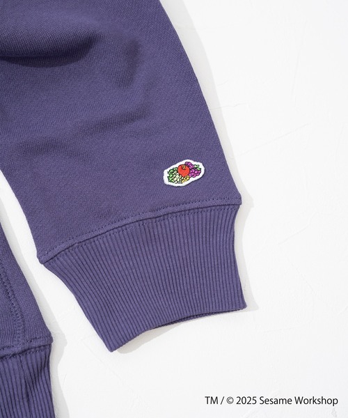 FRUIT OF THE LOOM(フルーツオブザルーム)の「SESAME STREET×FTL ロングスリーブ甘編 / セサミ / プルオーバー(スウェット・メンズ・ミント/パープル・S/L/M)」の10枚目の写真