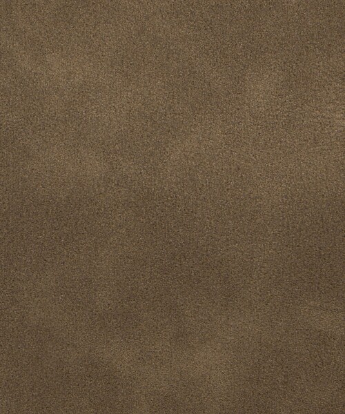 ＆MyuQ（アンドミューク）の「【別注】＜&MyuQ＞CARNA バッグ（トートバッグ・レディース・ブラック/モカ・FREE）」の4枚目の写真