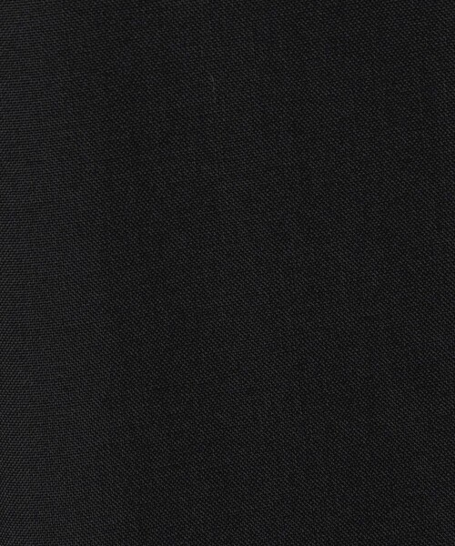 EDITION（エディション）の「ウールポリエステルドスキン フレアパンツ（その他パンツ・レディース・ブラウン/ブラック・36/34）」の6枚目の写真