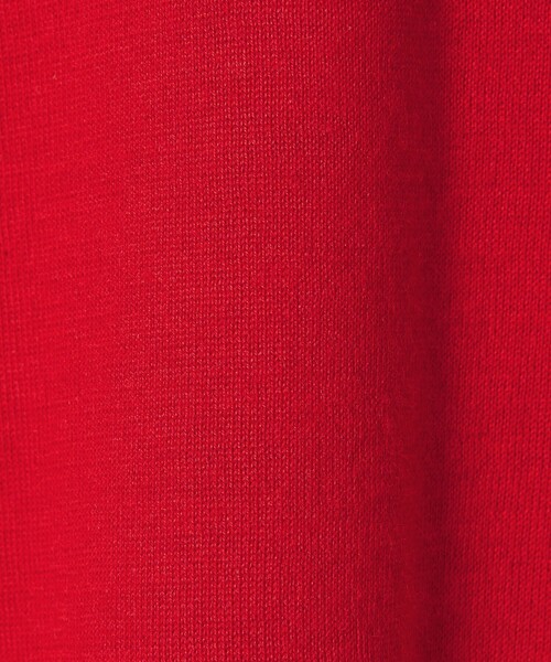 BEAUTY&YOUTH UNITED ARROWS（ビューティーアンドユースユナイテッドアローズ）の「＜OWNESS＞18ゲージ カシミヤ クロップド クルーネック ニット（ニット/セーター・メンズ・レッド/ダークブラウン・S/M/L）」の17枚目の写真