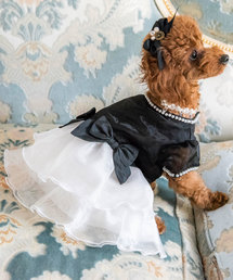 ドッグウェア　ブラックオーガンジードレス