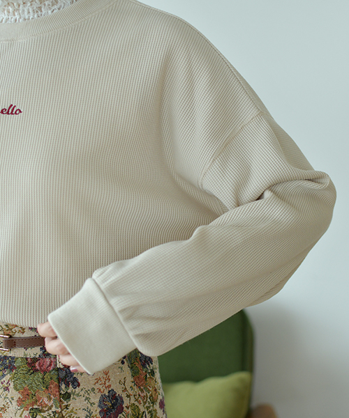 PairPair（ペアペア）の「ワッフル袖ボリュームロゴ刺繍プルオーバー（Tシャツ/カットソー・レディース・ダークブラウン/ベージュ/モカ・FREE）」の22枚目の写真