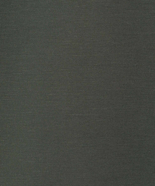 ABAHOUSE GRAY(アバハウスグレイ)の「【CITY】刺繍 ポンチ 半袖 Tシャツ(Tシャツ/カットソー・メンズ・ホワイト/チャコールグレー/ブラック/グレイッシュブルー・46/48)」の14枚目の写真