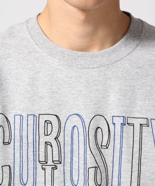 FRUIT OF THE LOOM（フルーツオブザルーム）の「【FRUIT OF THE LOOM/フルーツオブザルーム】別注ロゴプリントTシャツ/563391（Tシャツ/カットソー・メンズ・ホワイト/グレー/その他/ブラック/ネイビー/オフホワイト・LARGE/MEDIUM）」の9枚目の写真