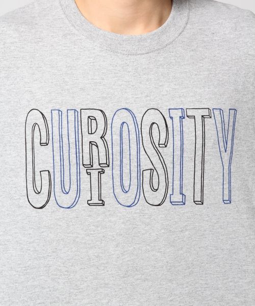 FRUIT OF THE LOOM（フルーツオブザルーム）の「【FRUIT OF THE LOOM/フルーツオブザルーム】別注ロゴプリントTシャツ/563391（Tシャツ/カットソー・メンズ・ホワイト/グレー/その他/ブラック/ネイビー/オフホワイト・LARGE/MEDIUM）」の13枚目の写真