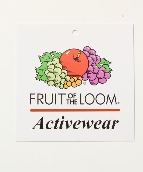 FRUIT OF THE LOOM（フルーツオブザルーム）の「【FRUIT OF THE LOOM/フルーツオブザルーム】別注ロゴプリントTシャツ/563391（Tシャツ/カットソー・メンズ・ホワイト/グレー/その他/ブラック/ネイビー/オフホワイト・LARGE/MEDIUM）」の19枚目の写真