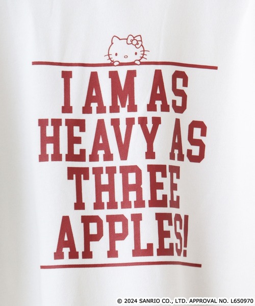 sanrio（サンリオ）の「サンリオキャラクターズプリント裏起毛ビッグシルエットトレーナー（スウェット・メンズ・ネイビー/オートミール/グリーン/オフホワイト/クリーム/アイボリー系/ネイビー系/サックスブルー/ダークラベンダー/ホワイト系・FREE）」の14枚目の写真