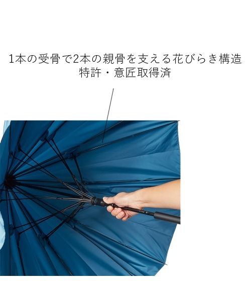 骨と花 楽天市場】骨壺 骨壷 骨覆 假屋崎省吾プロデュース「花筺」 奥の
