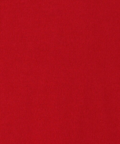 TOMORROWLAND (トゥモローランド)の「SUPER A MARKET SHORT SLEEVE POLO(ニット/セーター・レディース・レッド/ブラック/ホワイト・S)」の8枚目の写真