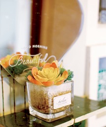 BACKYARD FAMILY（バックヤードファミリー）の「エクリア 消臭アーティフィシャルグリーン S（インテリア雑貨）」