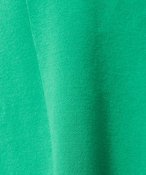 Lui's（ルイス）の「切替デザインダブルジャガードベスト（ベスト・レディース・グリーン/オフホワイト/ブラック・FREE）」の12枚目の写真