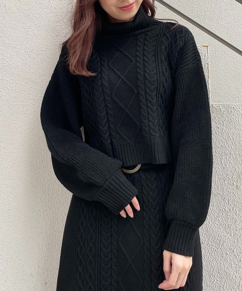 MAJESTIC LEGON(マジェスティックレゴン)の「ショートタートルニット(ニット/セーター・レディース・ブラック/ベージュ/グレー/アイボリー・MEDIUM)」の1枚目の写真