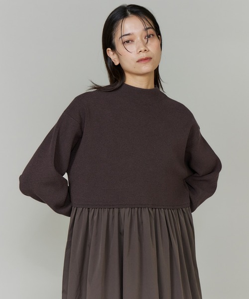 INED（イネド）の「布帛ドッキングハイネックワンピース（ワンピース・レディース・ブラウン/ブラック・9号）」の6枚目の写真