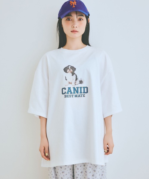 COLORME(カラーミー)の「【AKB48 伊藤百花 着用】ゆるシルエットわんこT【ユニセックス】(Tシャツ/カットソー・レディース・チャコール/ホワイト・FREE)」の12枚目の写真
