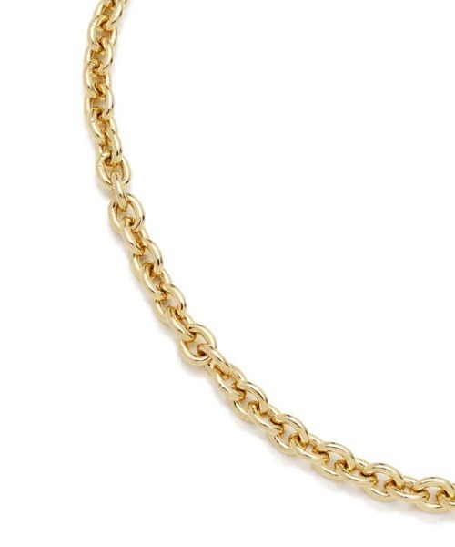 N.（N. Natural Beauty Basic）（エヌエヌナチュラルビューティーベーシック）の「チェーンショートネックレス（ネックレス・レディース・シルバー/ゴールド・FREE）」の7枚目の写真