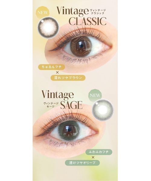 Angelcolor（エンジェルカラー）の「AngelColor Bambi Series Vintage 1day ヴィンテージピスタチオ（10枚入り）（コンタクトレンズ・カラコン・レディース・オリーブ・±0.00/-0.50/-0.75/-1.25/-1.50/-1.75/-2.00/-2.50/-2.75/-3.00/-3.25/-3.50/-3.75/-4.00/-4.25/-4.75/-5.00/-5.25/-5.50/-5.75/-7.00/-1.00/-2.25/-4.50/-6.00/-6.50/-7.50/-8.00/-8.50/-9.00/-9.50/-10.00）」の8枚目の写真