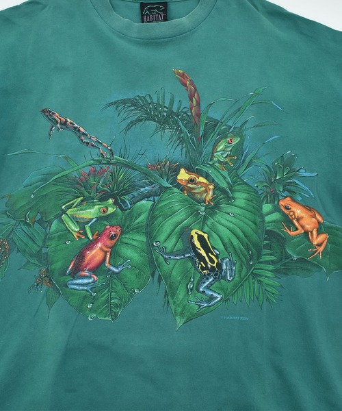 VINTAGE（ヴィンテージ）の「【ヴィンテージ古着】90’s Daytona Beach カエル アニマルプリント Tシャツ USA製（Tシャツ/カットソー・メンズ・グリーン・X-LARGE）」の8枚目の写真
