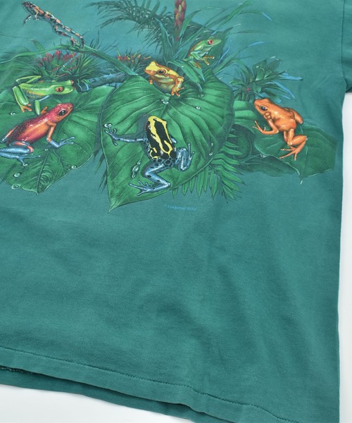 VINTAGE（ヴィンテージ）の「【ヴィンテージ古着】90’s Daytona Beach カエル アニマルプリント Tシャツ USA製（Tシャツ/カットソー・メンズ・グリーン・X-LARGE）」の15枚目の写真