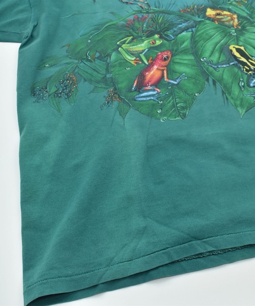 VINTAGE（ヴィンテージ）の「【ヴィンテージ古着】90’s Daytona Beach カエル アニマルプリント Tシャツ USA製（Tシャツ/カットソー・メンズ・グリーン・X-LARGE）」の14枚目の写真