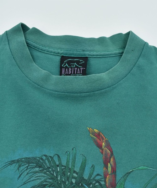 VINTAGE（ヴィンテージ）の「【ヴィンテージ古着】90’s Daytona Beach カエル アニマルプリント Tシャツ USA製（Tシャツ/カットソー・メンズ・グリーン・X-LARGE）」の9枚目の写真