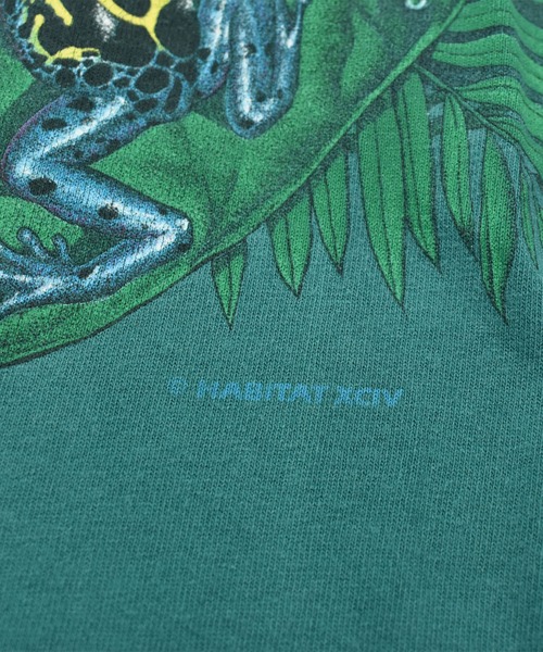 VINTAGE（ヴィンテージ）の「【ヴィンテージ古着】90’s Daytona Beach カエル アニマルプリント Tシャツ USA製（Tシャツ/カットソー・メンズ・グリーン・X-LARGE）」の6枚目の写真