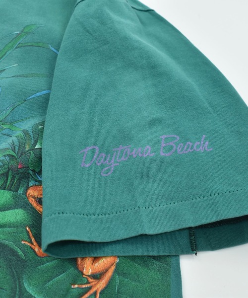 VINTAGE（ヴィンテージ）の「【ヴィンテージ古着】90’s Daytona Beach カエル アニマルプリント Tシャツ USA製（Tシャツ/カットソー・メンズ・グリーン・X-LARGE）」の13枚目の写真