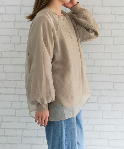 aquagarage(アクアガレージ)の「オーガンジーシアー長袖トップス(Tシャツ/カットソー・レディース・グレイッシュベージュ/ブラック・M)」の6枚目の写真