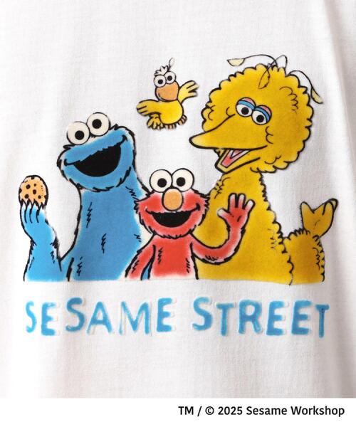 SESAME STREET(セサミストリート)の「セサミストリートTシャツ/親子リンク(Tシャツ/カットソー・メンズ・ホワイト系3/スミクロ/ブラック系その他/オフホワイト・03/02)」の10枚目の写真