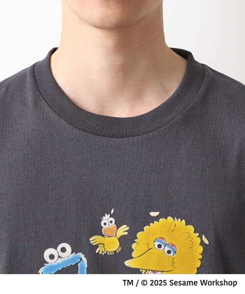 SESAME STREET(セサミストリート)の「セサミストリートTシャツ/親子リンク(Tシャツ/カットソー・メンズ・ホワイト系3/スミクロ/ブラック系その他/オフホワイト・03/02)」の18枚目の写真