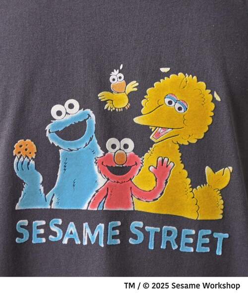 SESAME STREET(セサミストリート)の「セサミストリートTシャツ/親子リンク(Tシャツ/カットソー・メンズ・ホワイト系3/スミクロ/ブラック系その他/オフホワイト・03/02)」の22枚目の写真