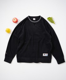 【FRUIT OF THE LOOM】COZY SOFT FLEECE PULLOVER/フリーススウェット