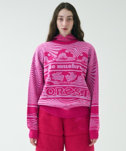 MIMICAWE(ミミカウィ)の「PSYCHE KNIT PULLOVER/PINK(ニット/セーター・レディース・その他・MEDIUM/SMALL)」の1枚目の写真