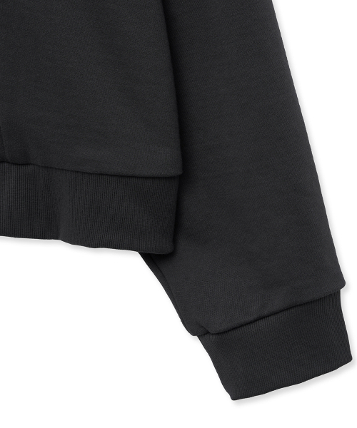THE ANTI PLATFORM(ディアンチプラットフォーム)の「ビッグダディフードジャケット(グレー)(パーカー・メンズ・その他・M/L/XL)」の7枚目の写真