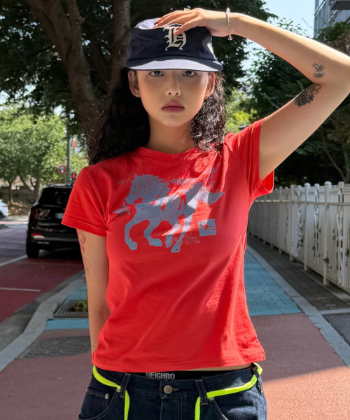DAMISH(ダミシュ)の「ホースグラフィックパステルトーンスリムTシャツ_ミント(Tシャツ/カットソー・レディース・ミント・OS)」の8枚目の写真