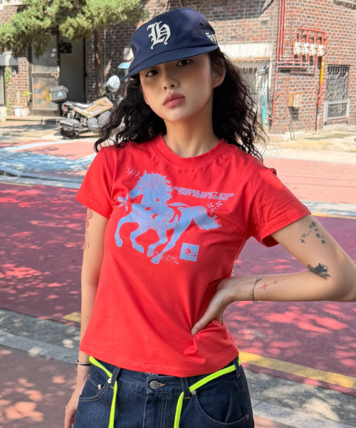 DAMISH(ダミシュ)の「ホースグラフィックパステルトーンスリムTシャツ_ミント(Tシャツ/カットソー・レディース・ミント・OS)」の9枚目の写真