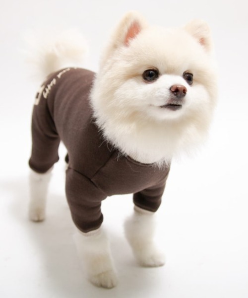 犬と生活/いぬとせいかつ/ウォームスマイルロンパース 5号,6号/犬服(ドッグウェア)（ペットウェア）｜犬と生活（イヌトセイカツ）