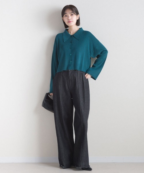 terrace(テラス)の「ニットポロシャツ ショート丈(ポロシャツ・レディース・ブルーグリーン/グレイッシュベージュ/ブラック/ピンク・MEDIUM)」の12枚目の写真