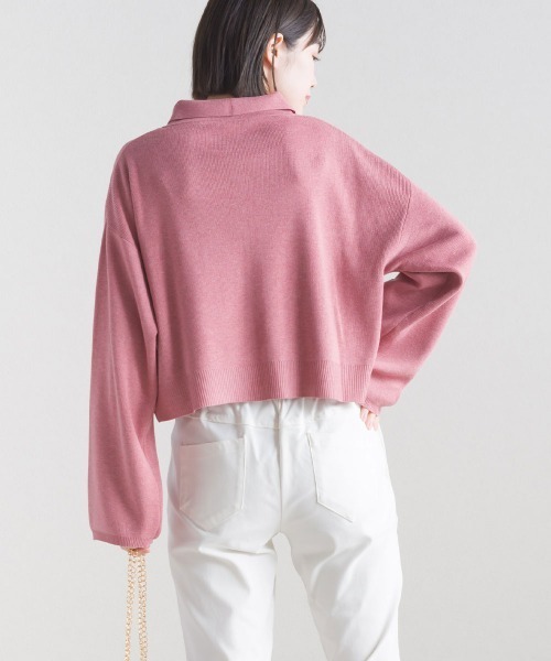 terrace(テラス)の「ニットポロシャツ ショート丈(ポロシャツ・レディース・ブルーグリーン/グレイッシュベージュ/ブラック/ピンク・MEDIUM)」の14枚目の写真